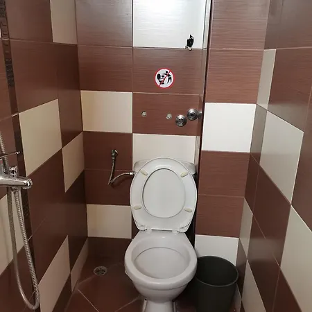 Stefi